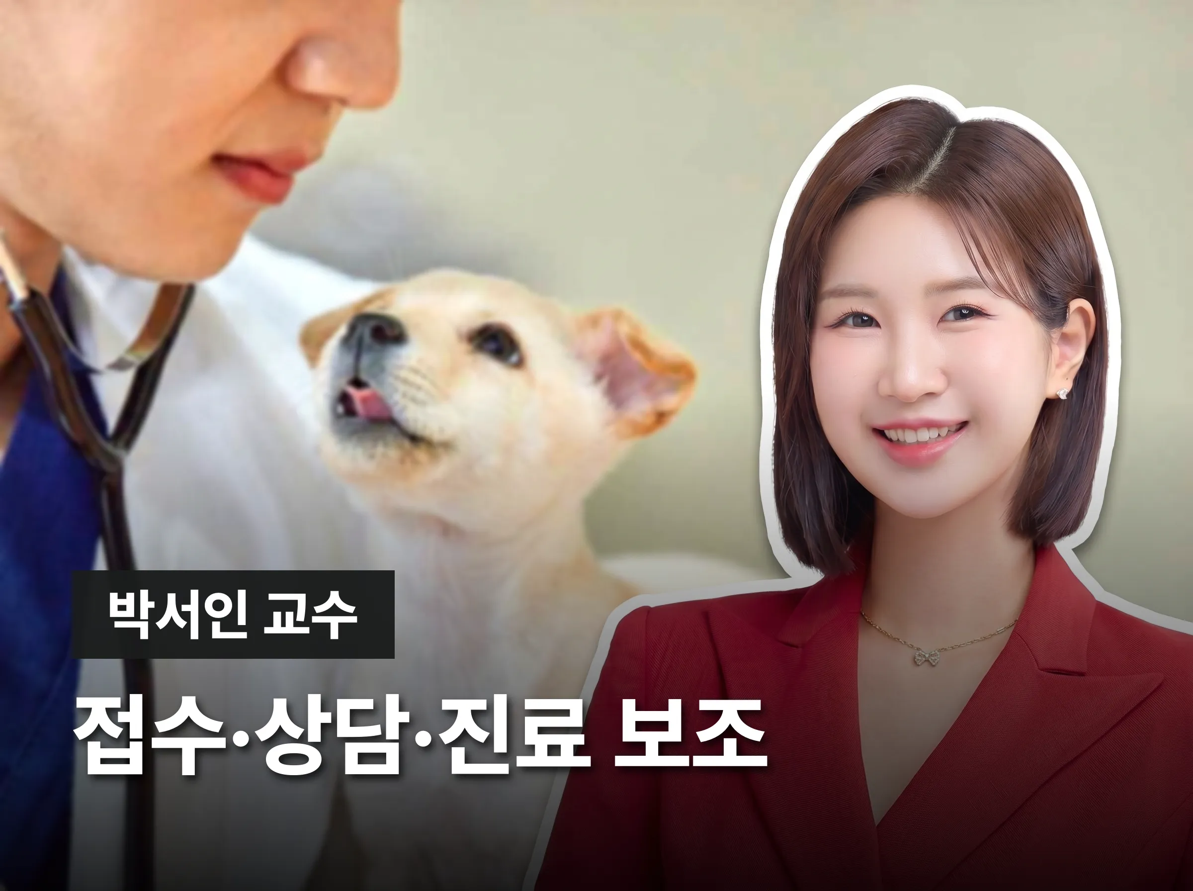 동물병원코디네이터